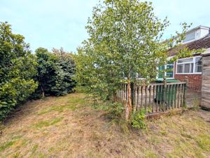 Photo 21- click for photo gallery